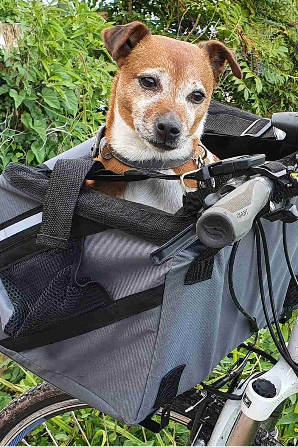 Henry Wag Pet Panier Bike Seat