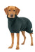 Ruff and Tumble Classic Dog Drying Coat in Forest Green #colour_forest-green