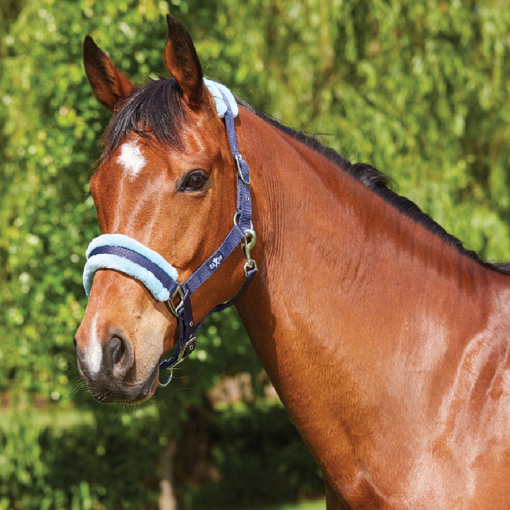 Saxon Element Fleece Headcollar in Navy/Blue 