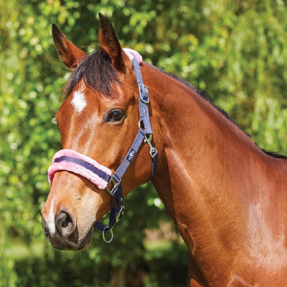 Saxon Element Fleece Headcollar in Navy/Pink 