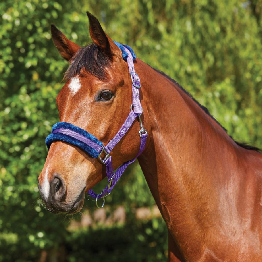 Saxon Element Fleece Headcollar in Purple/Navy 