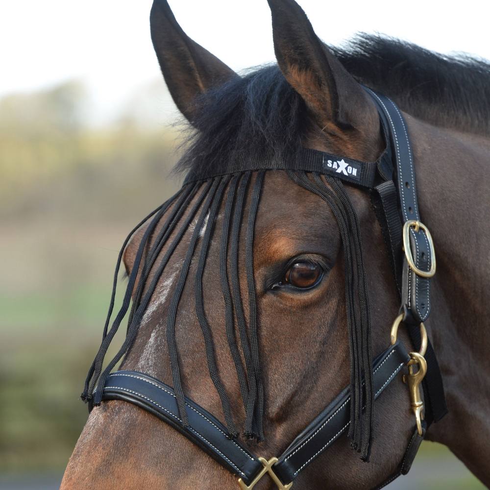 Saxon Fly Fringe | Six Colours In Black 