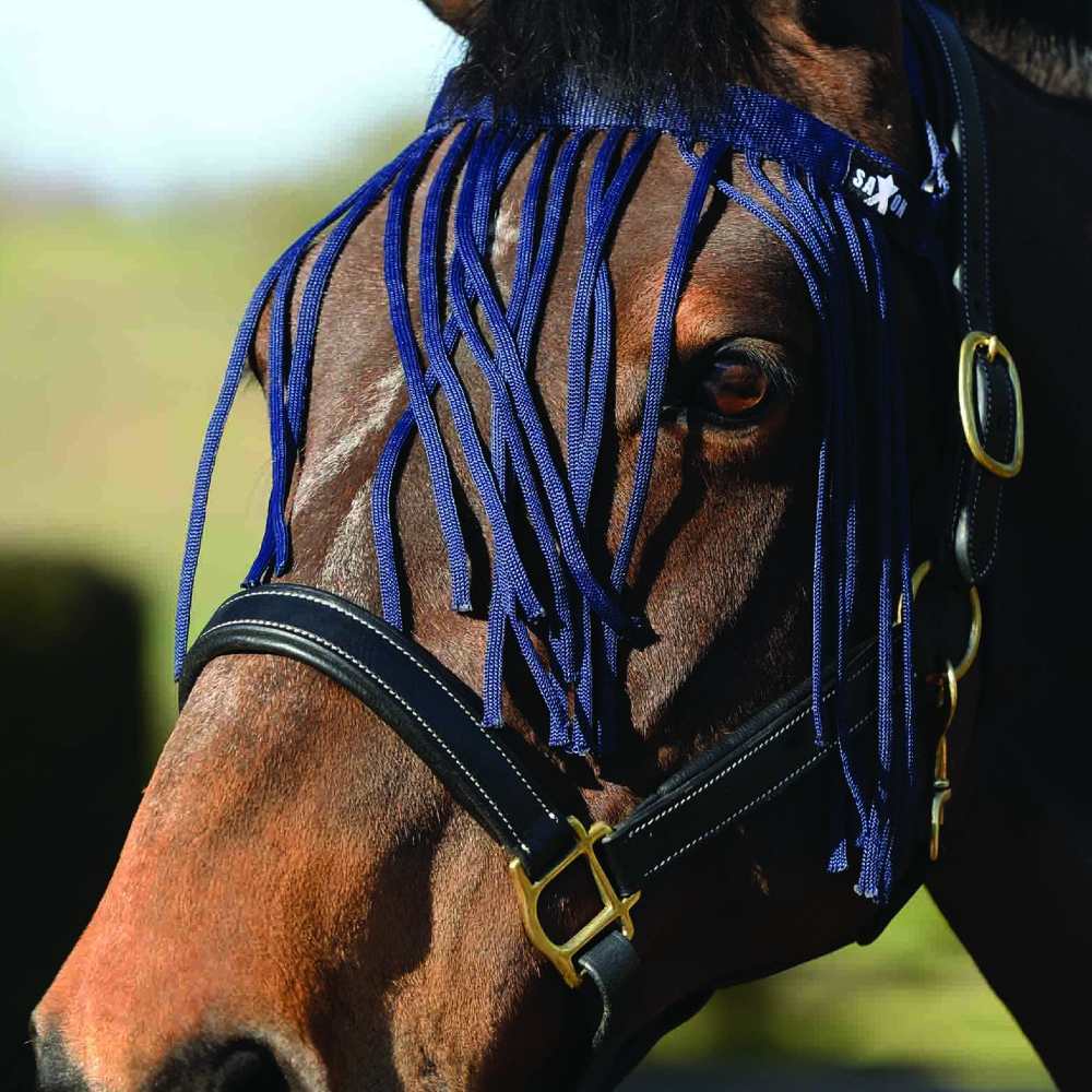 Saxon Fly Fringe | Six Colours In Navy 