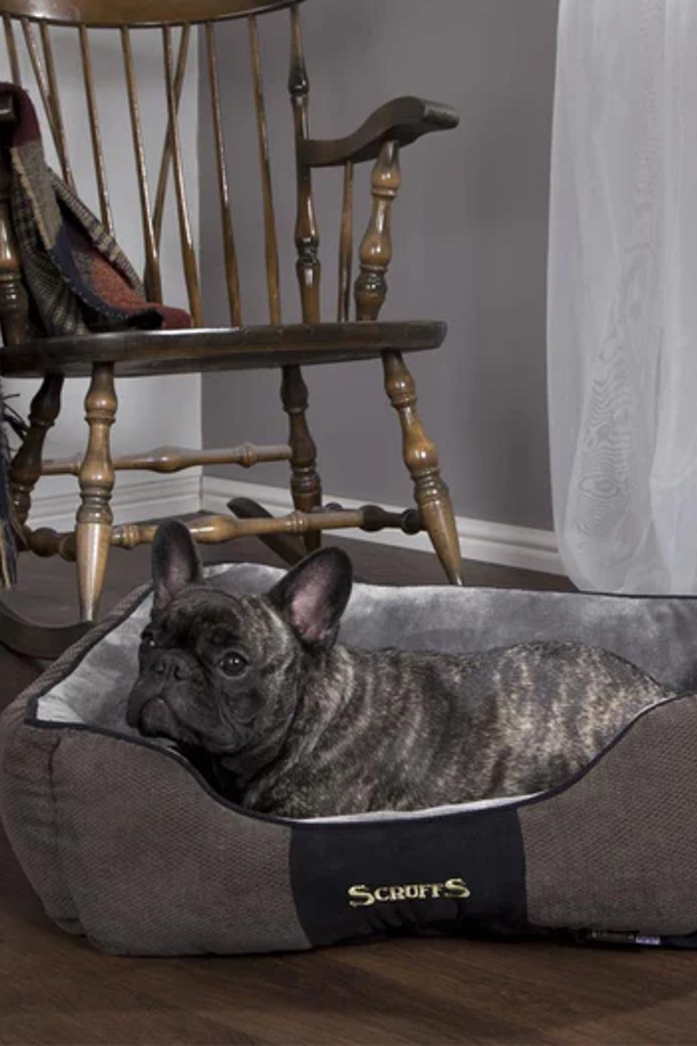 Scruffs Chester Box Bed in Graphite