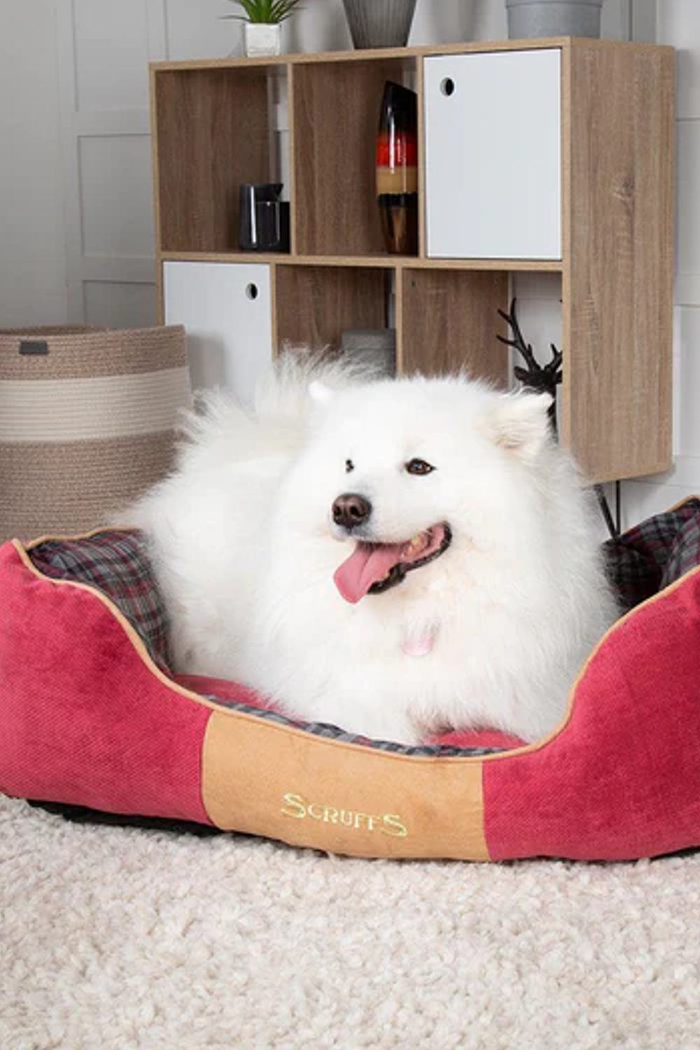 Scruffs extra discount large dog beds