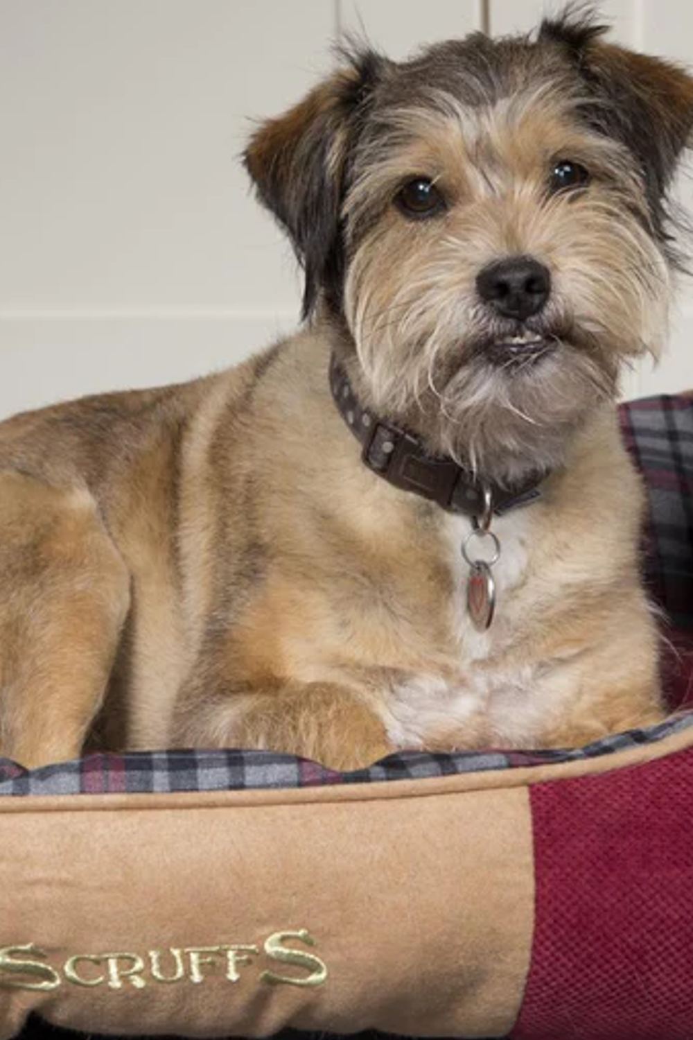 Scruffs Highland Box Bed in Red