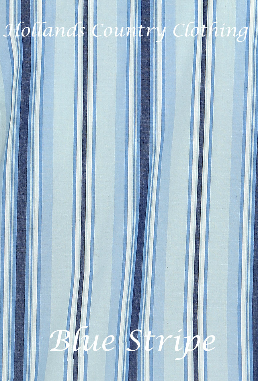 Blue stripe 