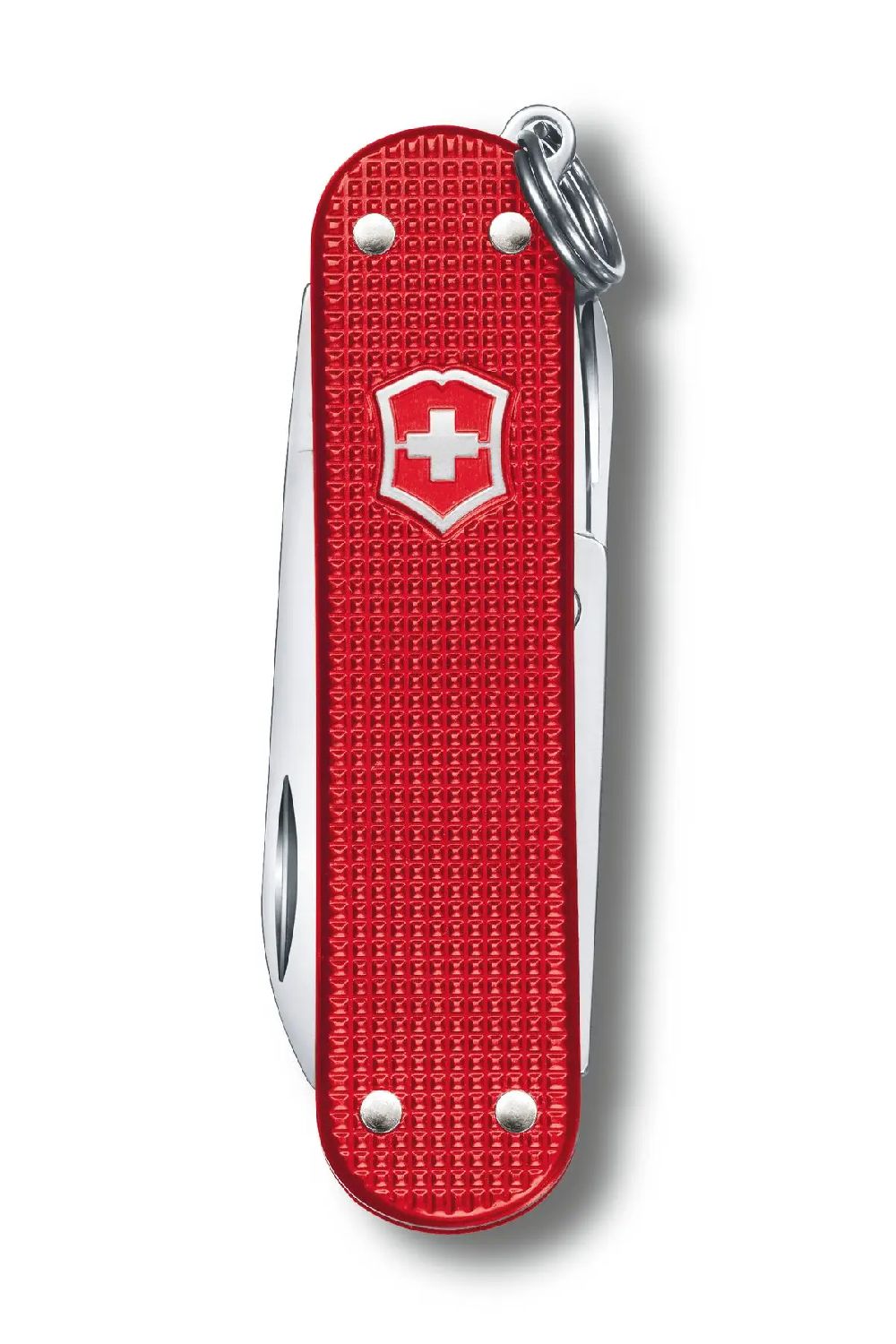 Victorinox Classic SD Alox Swiss Army Small Pocket Knife in Sweet Berry 