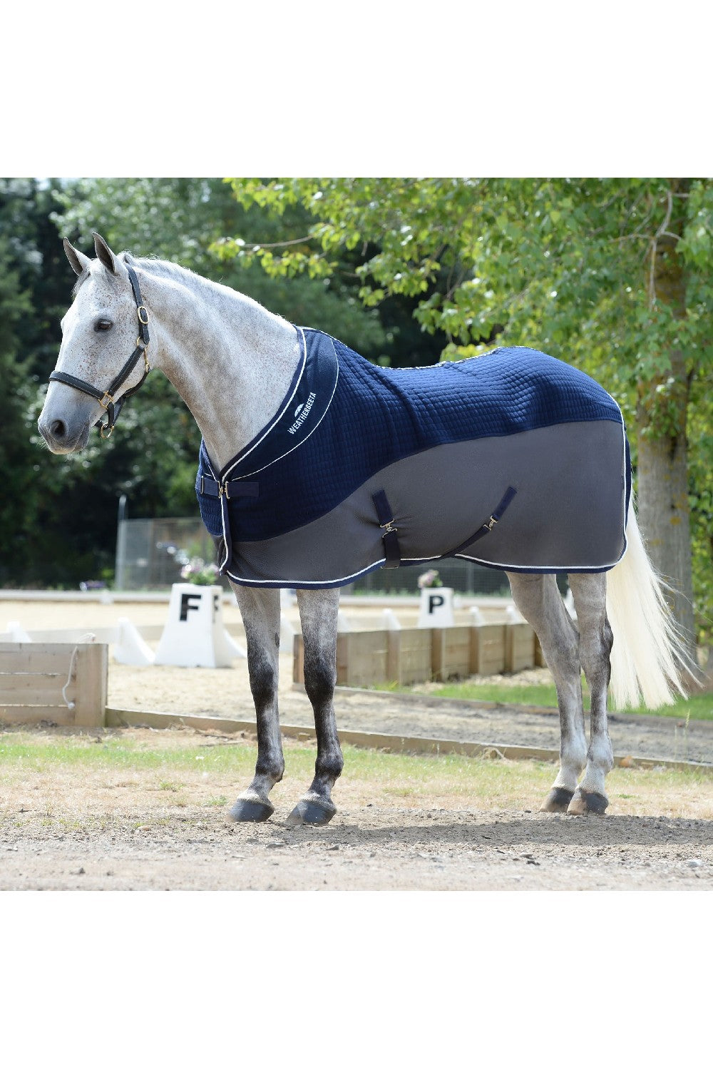 Weatherbeeta Scrim Standard Neck Cooler Rug 6ft6 Navy Weatherbeeta Scrim Standard Neck Cooler Rug 6ft6 Navy