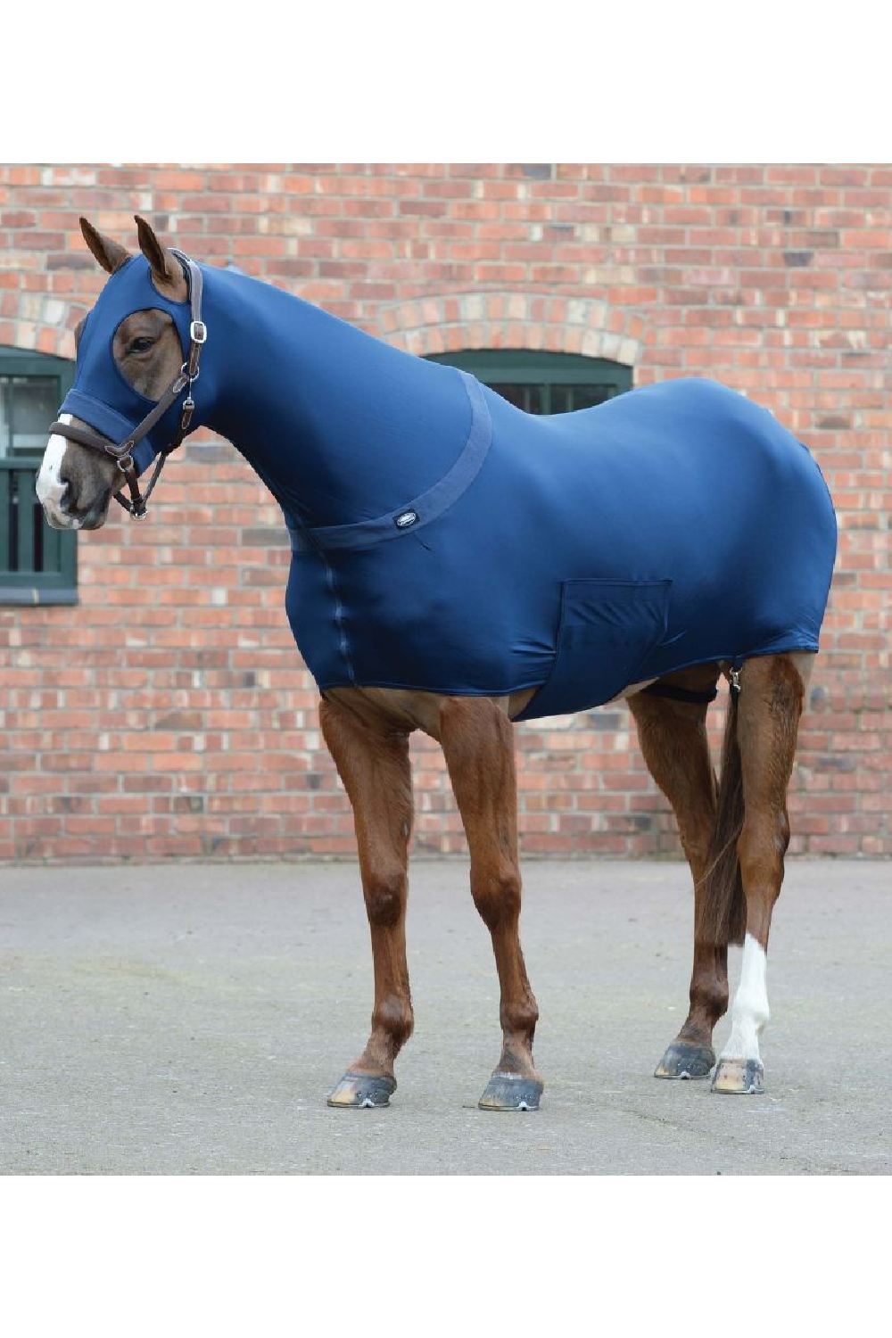 WeatherBeeta Stretch Rug in Navy 