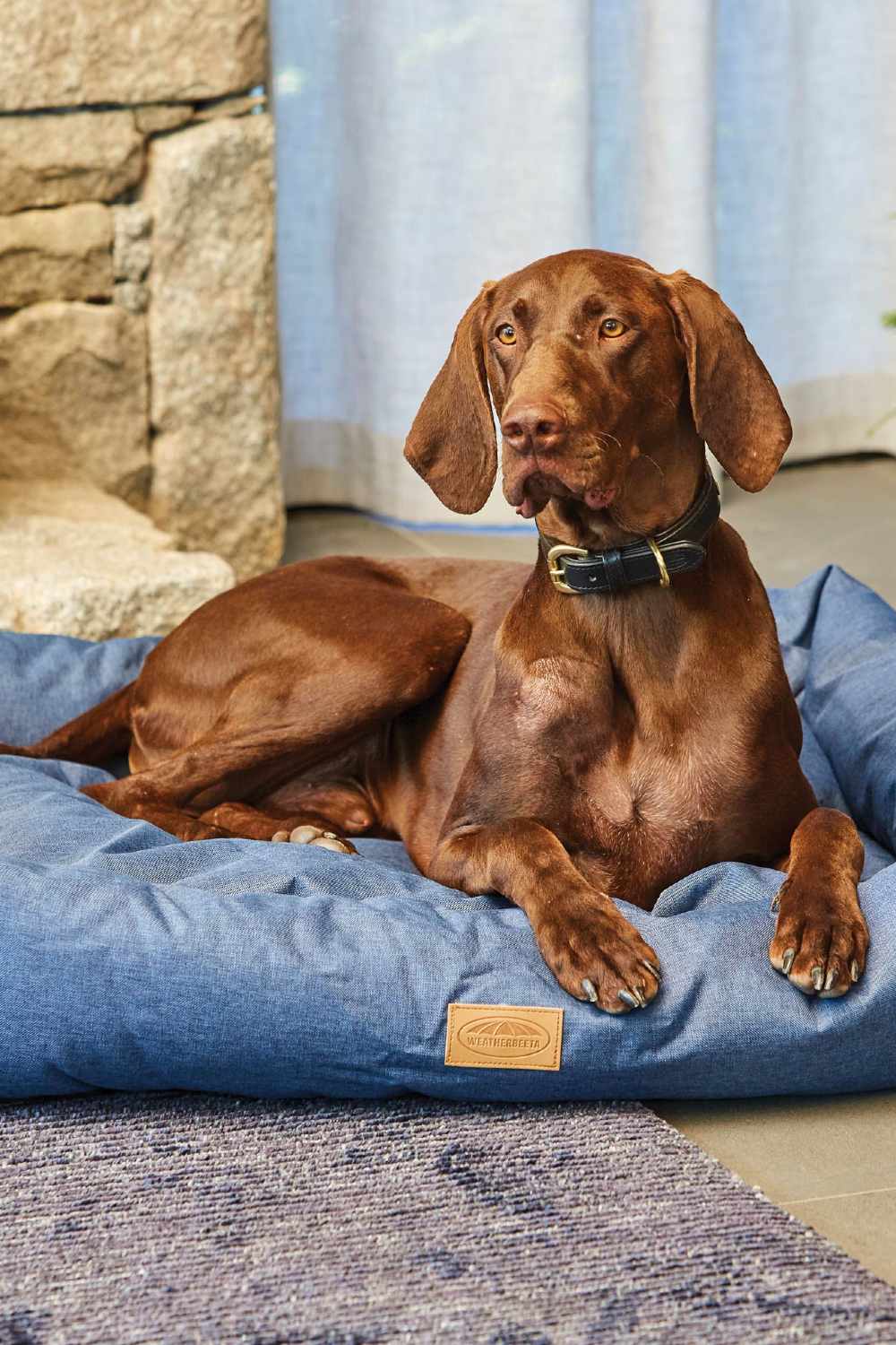 WeatherBeeta Square Denim Dog Bed