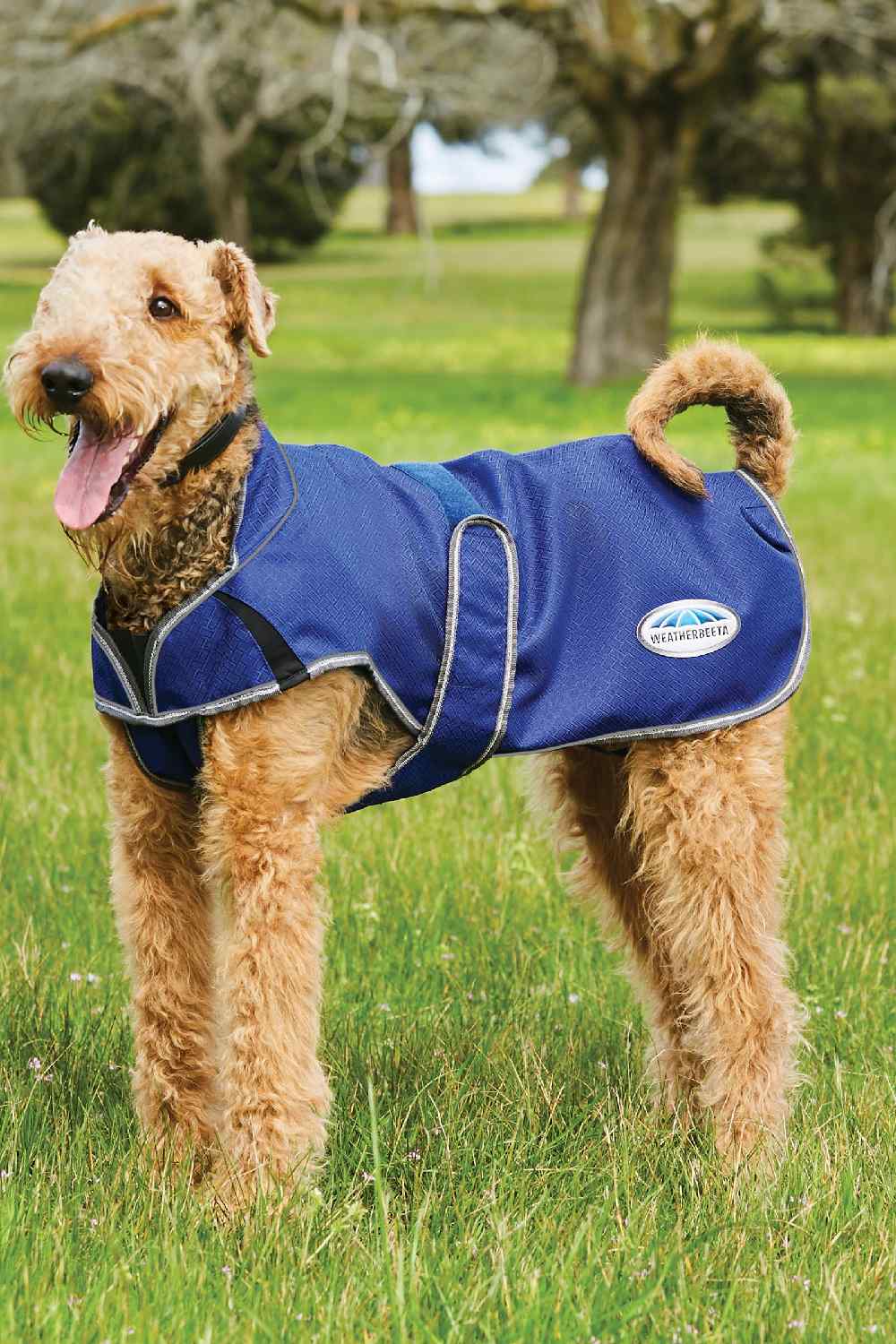 WeatherBeeta Comfitec Premier Free Parka Deluxe Dog Coat in Dark Blue/Grey/White 