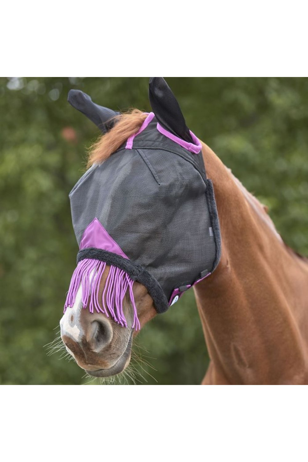 WeatherBeeta Comfitec Deluxe Durable Mesh Mask With Ears &amp; Tassels in Black/Purple