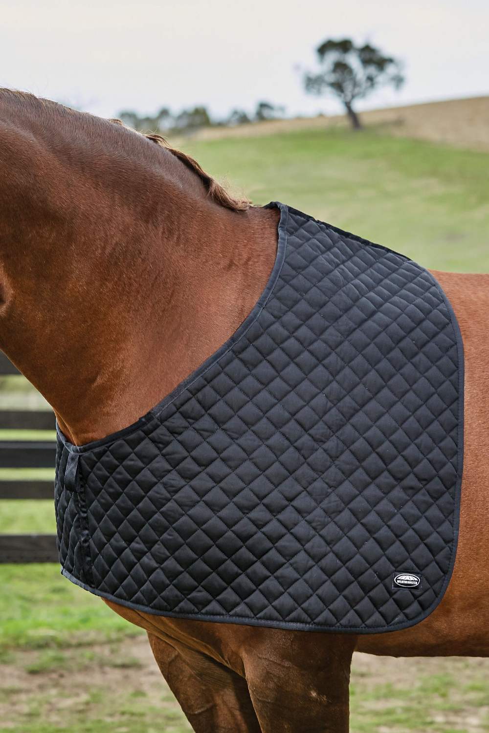 WeatherBeeta Deluxe Shoulder Guard | Two Colours In Black