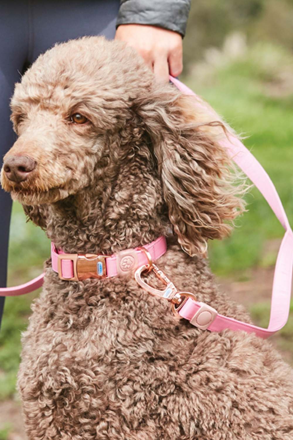 WeatherBeeta Elegance Dog Lead in Pink