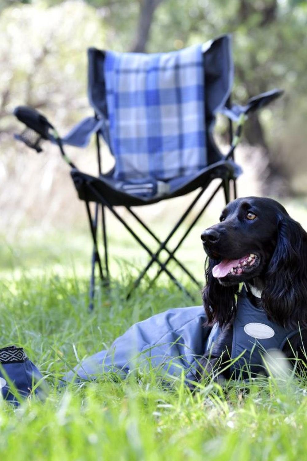 WeatherBeeta Explorer Dog Sleeping Bag In Navy