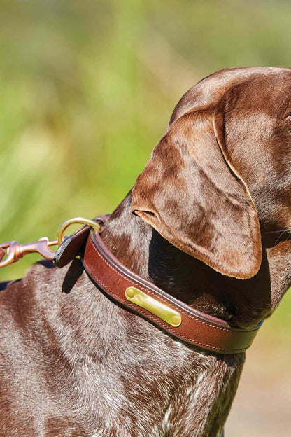 WeatherBeeta Padded Leather Dog Collar in Brown 