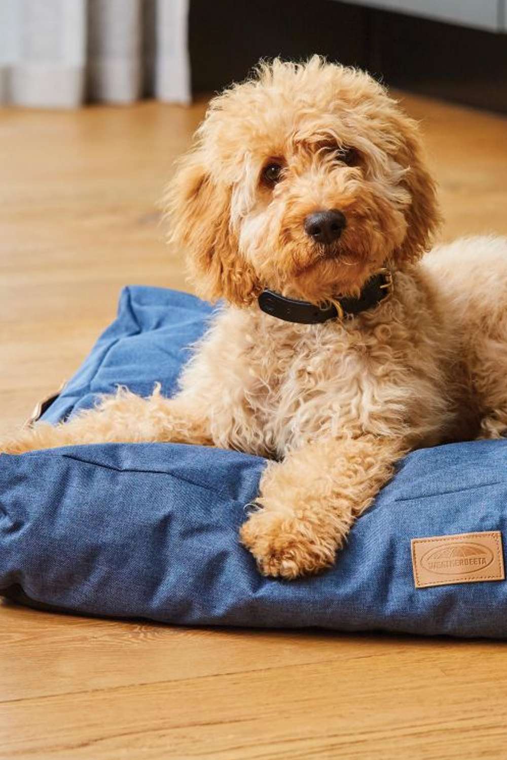 WeatherBeeta Pillow Denim Dog Bed In Blue Denim