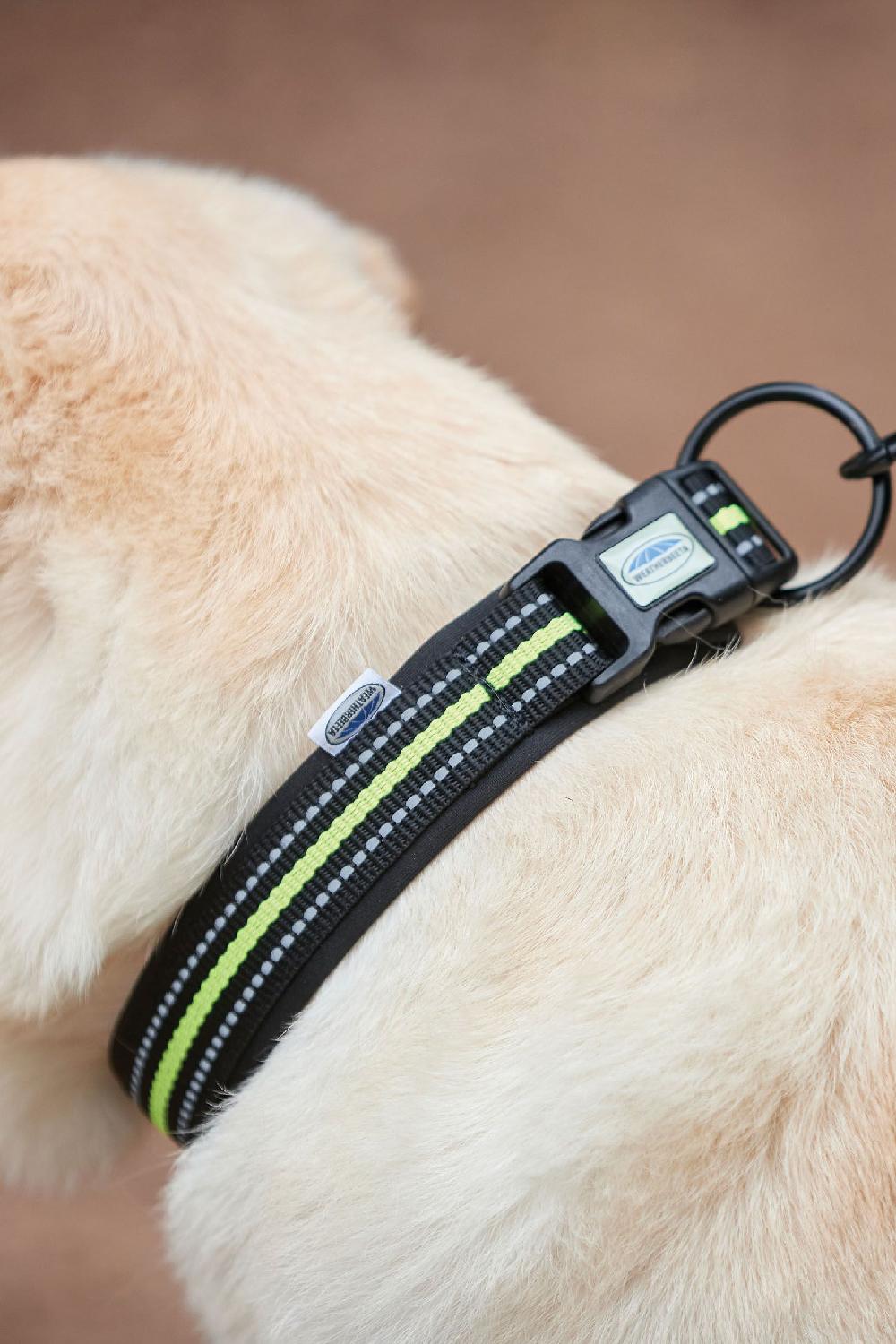 WeatherBeeta Reflective Dog Collar in Black/Yellow 