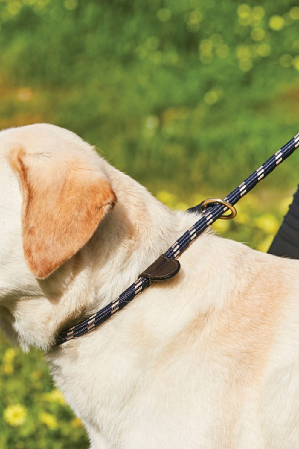 WeatherBeeta Rope Leather Slip Dog Lead in Navy/Brown 