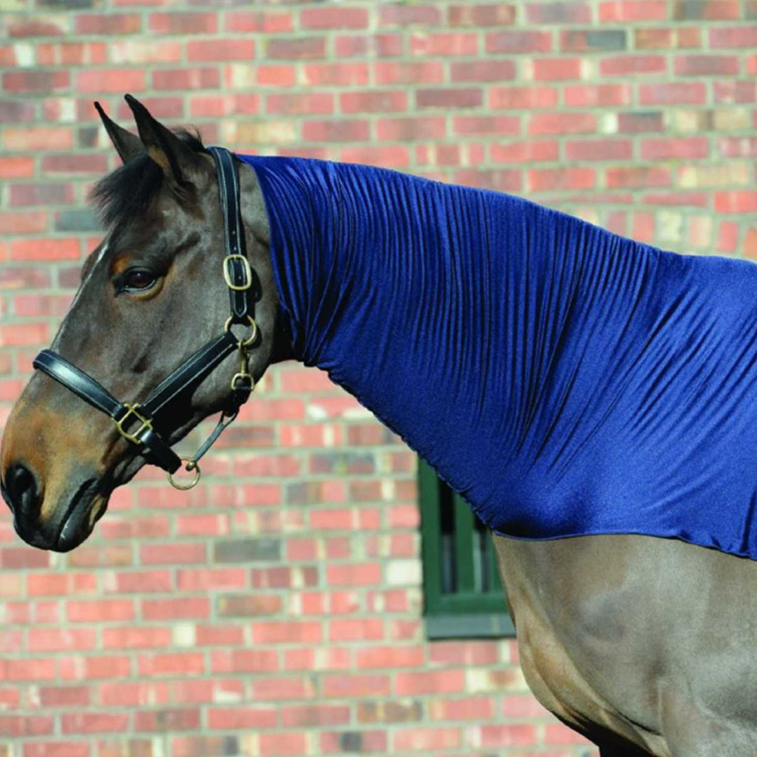 WeatherBeeta Stretch Neck Rug | Two Colours In Navy 