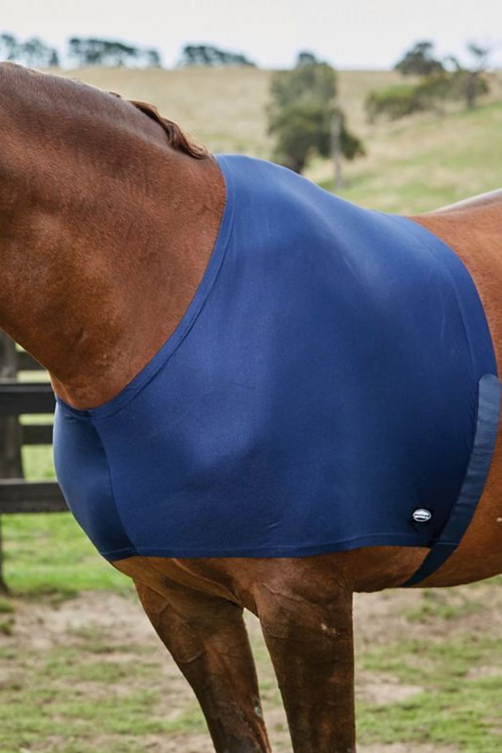WeatherBeeta Stretch Shoulder Guard | Two Colours In Navy 