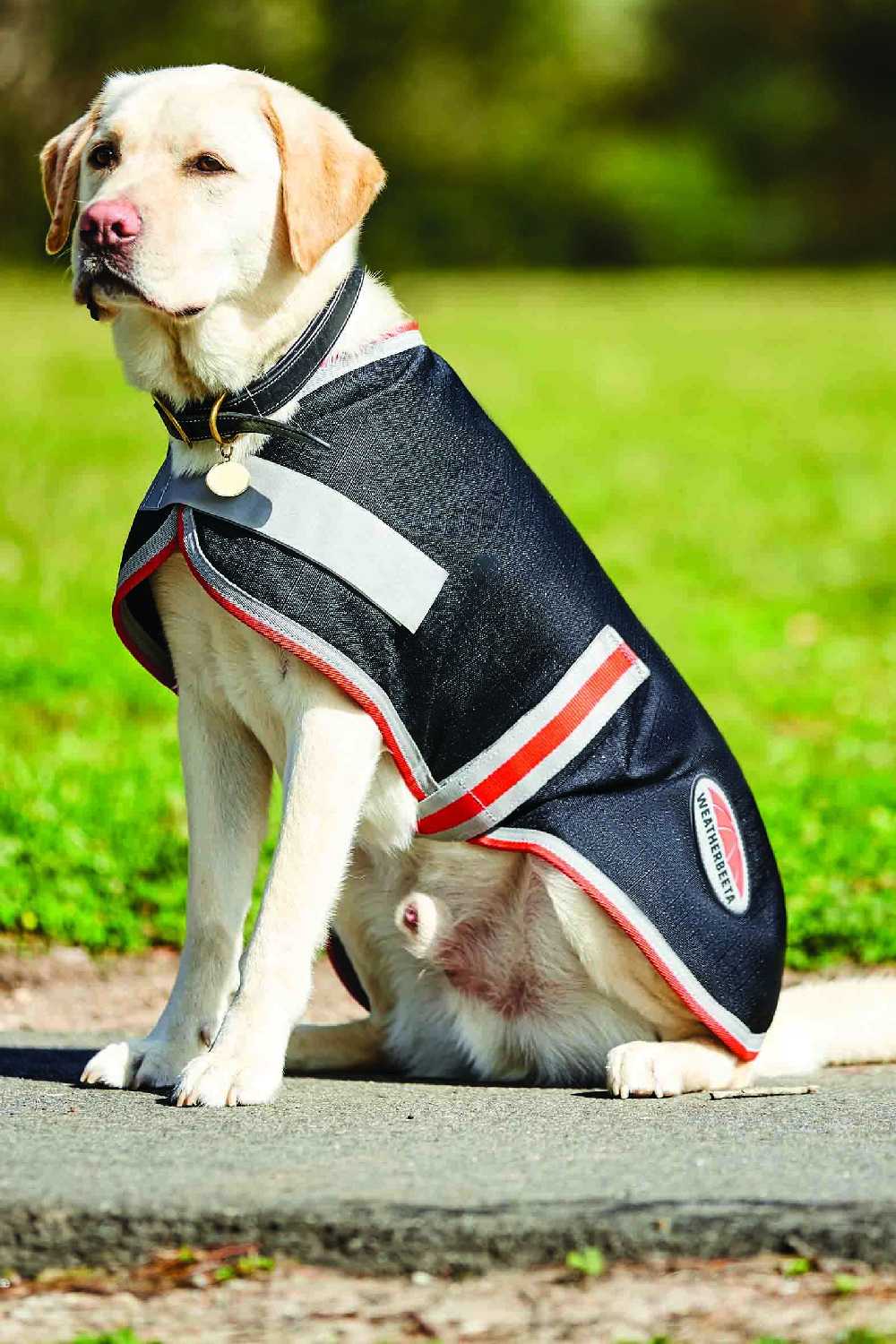 WeatherBeeta ComFiTec 1200D Therapy-Tec Dog Coat in Black/Silver/Red