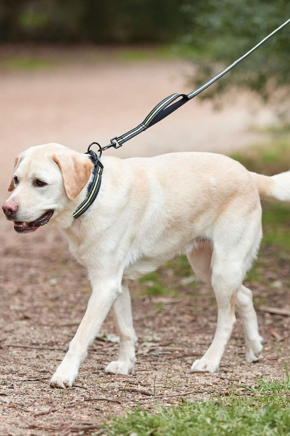 WeatherBeeta Reflective Dog Lead in Yellow/Black 