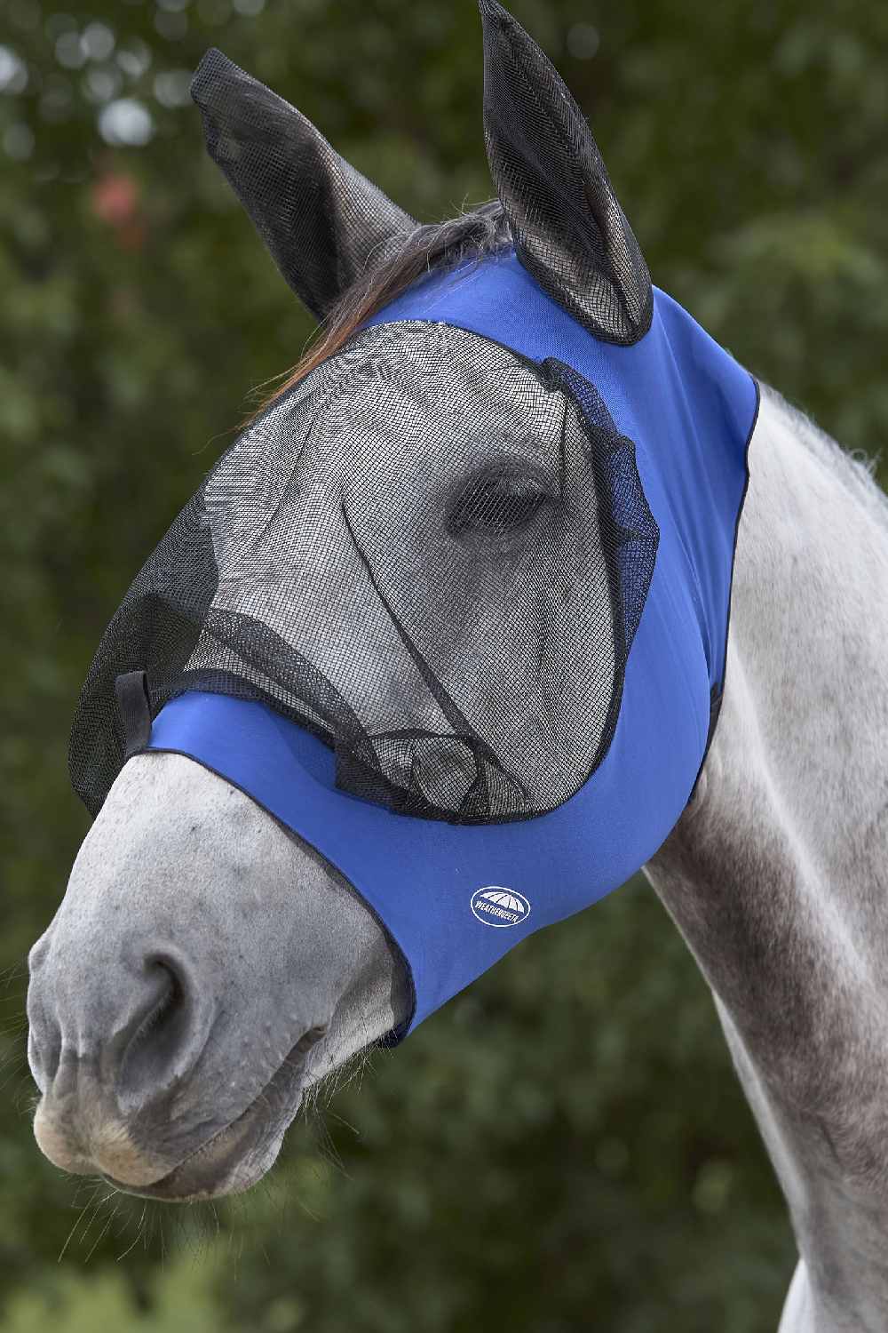 WeatherBeeta Deluxe Stretch Eye Saver with Ears in Royal Blue/Black