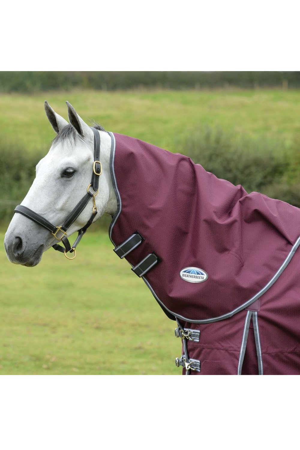 WeatherBeeta ComFiTec Plus Dynamic II Neck Rug Lite in Maroon/Grey/White