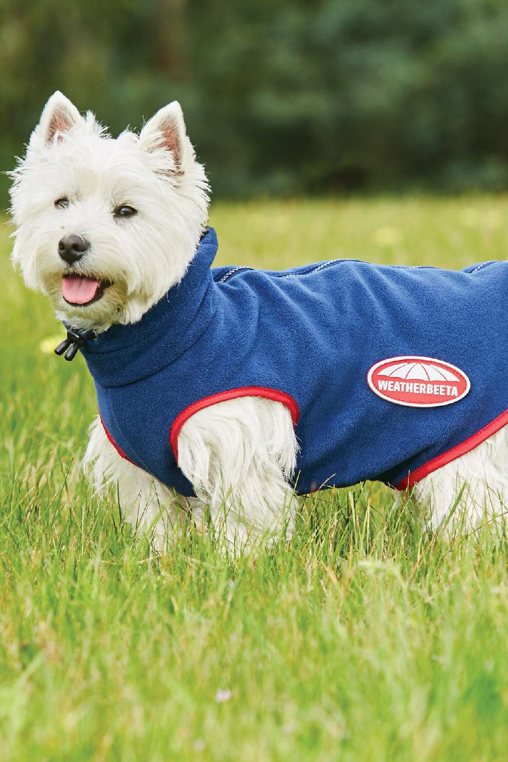 WeatherBeeta Comfitec Fleece Zip Dog Coat in Navy/Red 