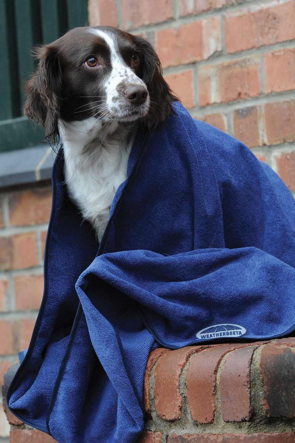 Weatherbeeta Dog Towel In Blue