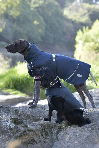 Weatherbeeta Explorer Medium Dog Coat in Navy