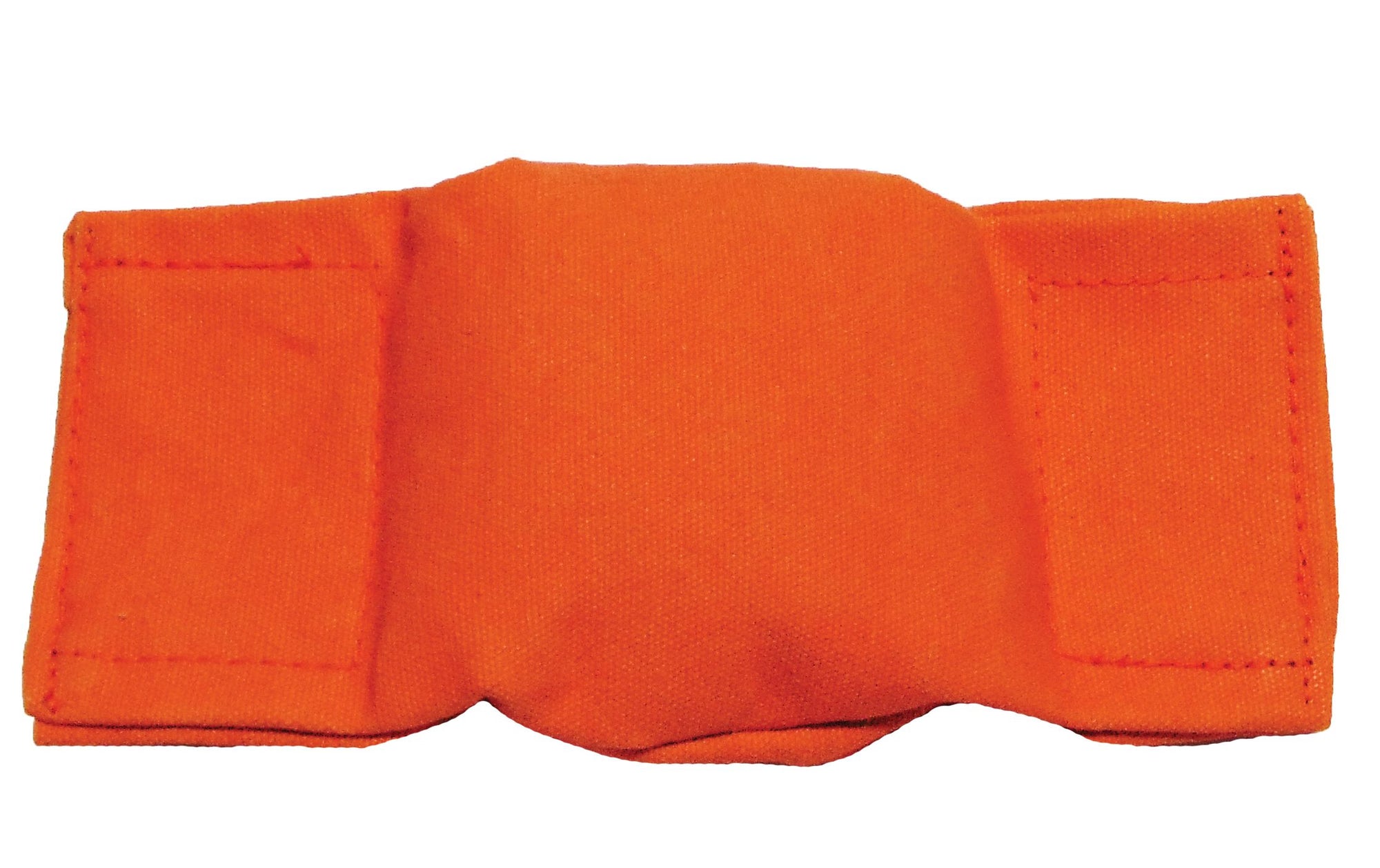 Bisley Puppy Dummy Beanbag in Orange